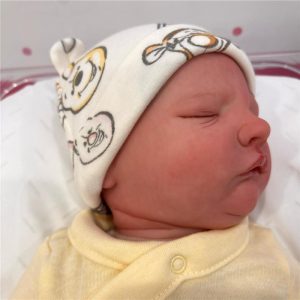 Reborn Baby Doll - White Vinyl, Owen Asleep